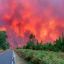 In France, forest fires are spreading due to the heat