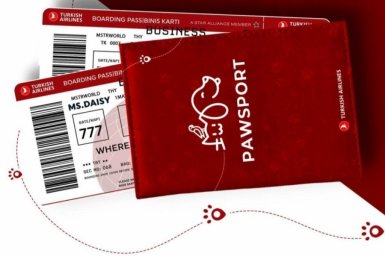 Turkish Airlines was the first in the world to introduce a passport for animals
