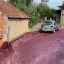 Portuguese city flooded with red wine