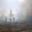 Екатеринбург затянуло дымом лесных пожаров