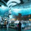 В ОАЭ откроют морской парк с самым большим в мире аквариумом