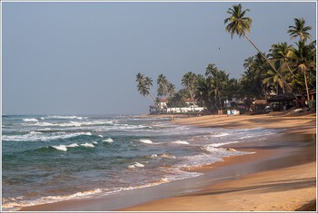 АТОР: туристы из РФ спокойно отдыхают на Шри-Ланке